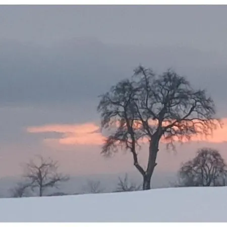 Braun Waldbrunn (Baden-Wurttemberg)